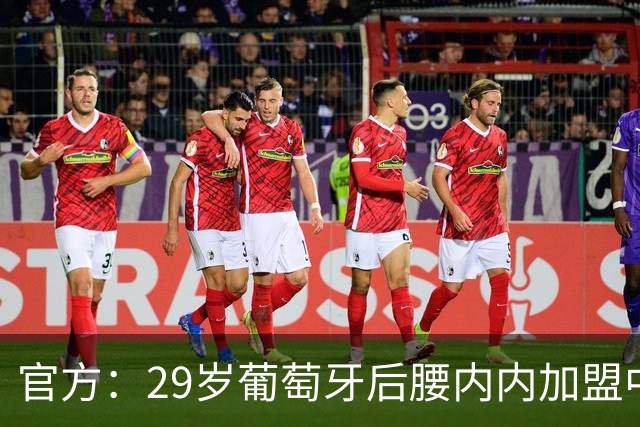 官方：29岁葡萄牙后腰内内加盟中超新军云南玉昆